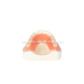 Hot Sale Lucitone 199 Full Denture